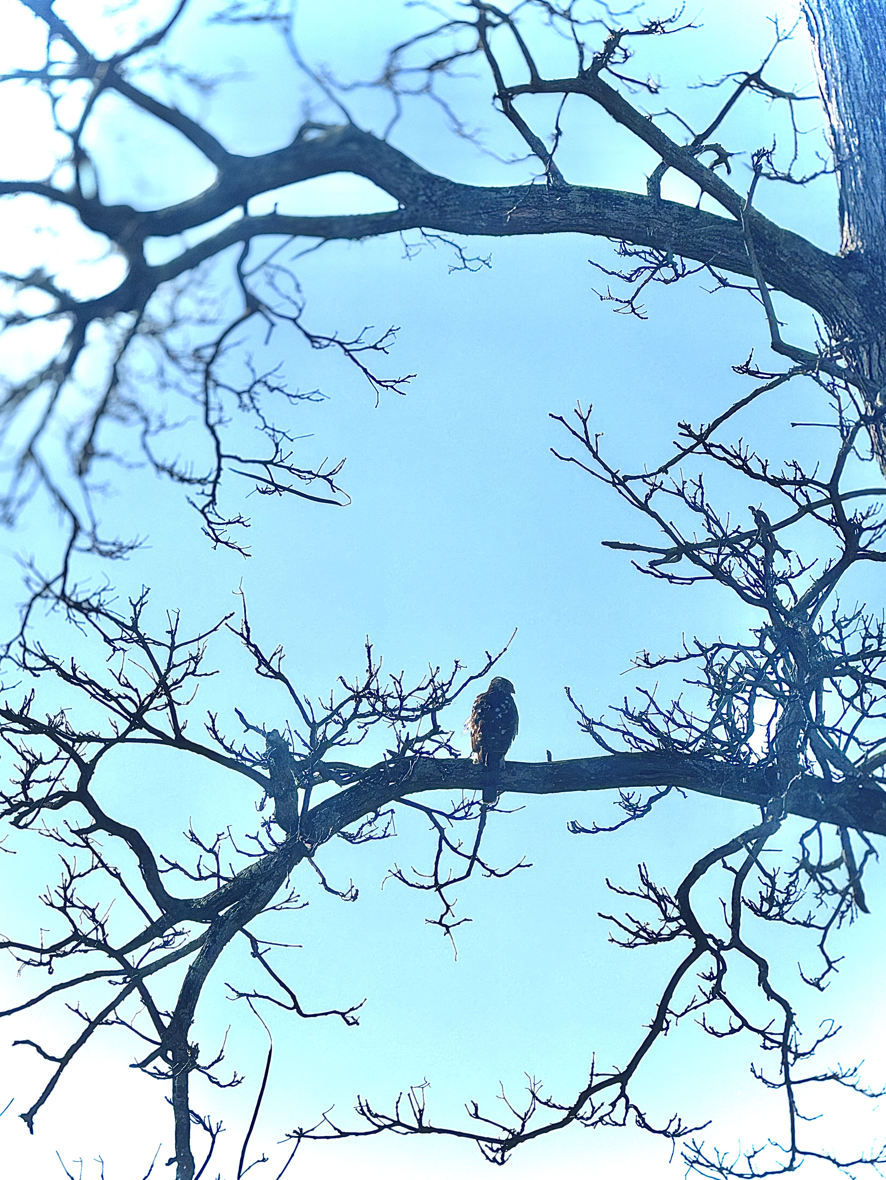 Think Spring